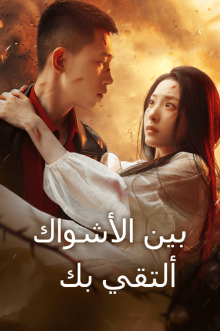 بين الأشواك، ألتقي بك