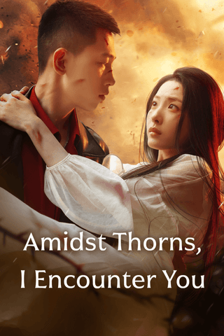 Amidst Thorns, I Encounter You